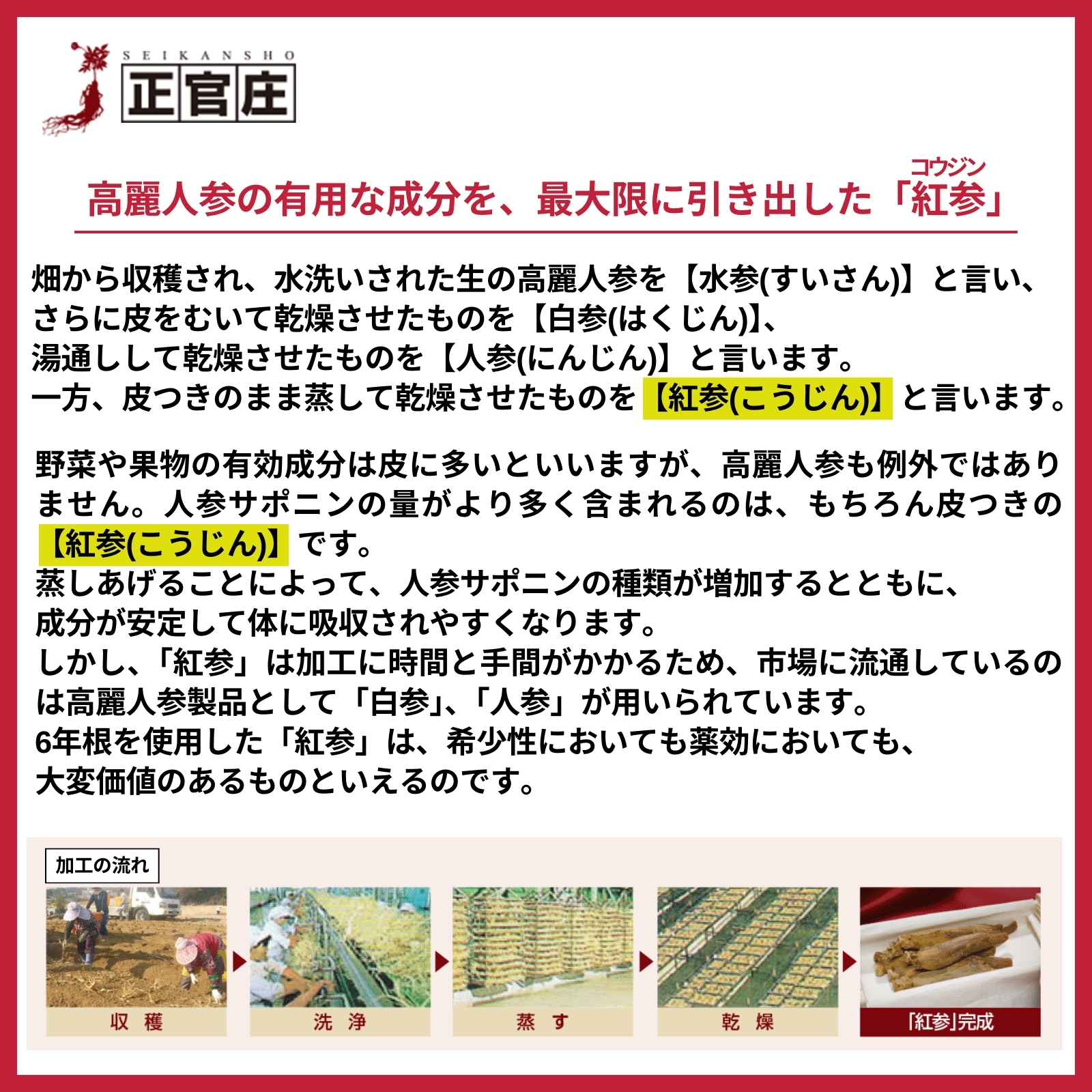 正官庄 高麗紅蔘茶