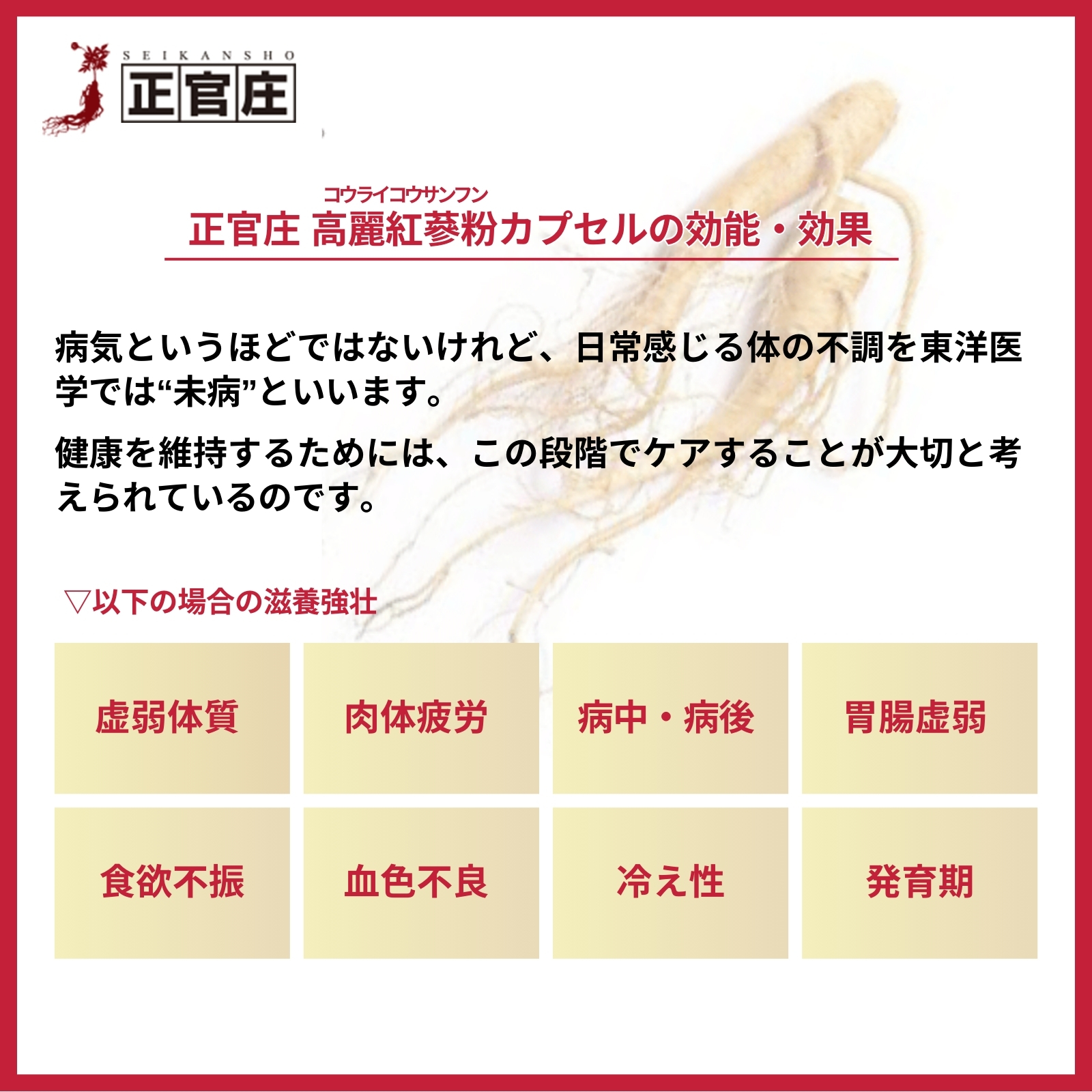 正官庄 高麗紅蔘粉カプセル