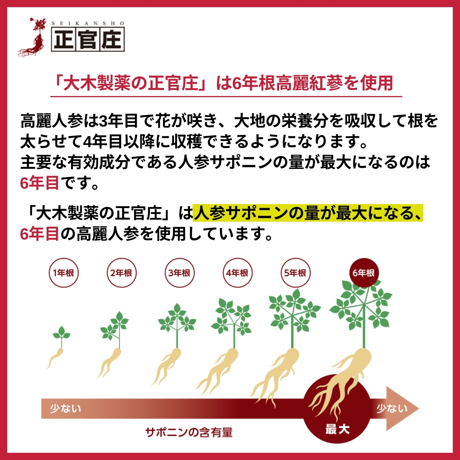 正官庄 紅蔘茶顆粒