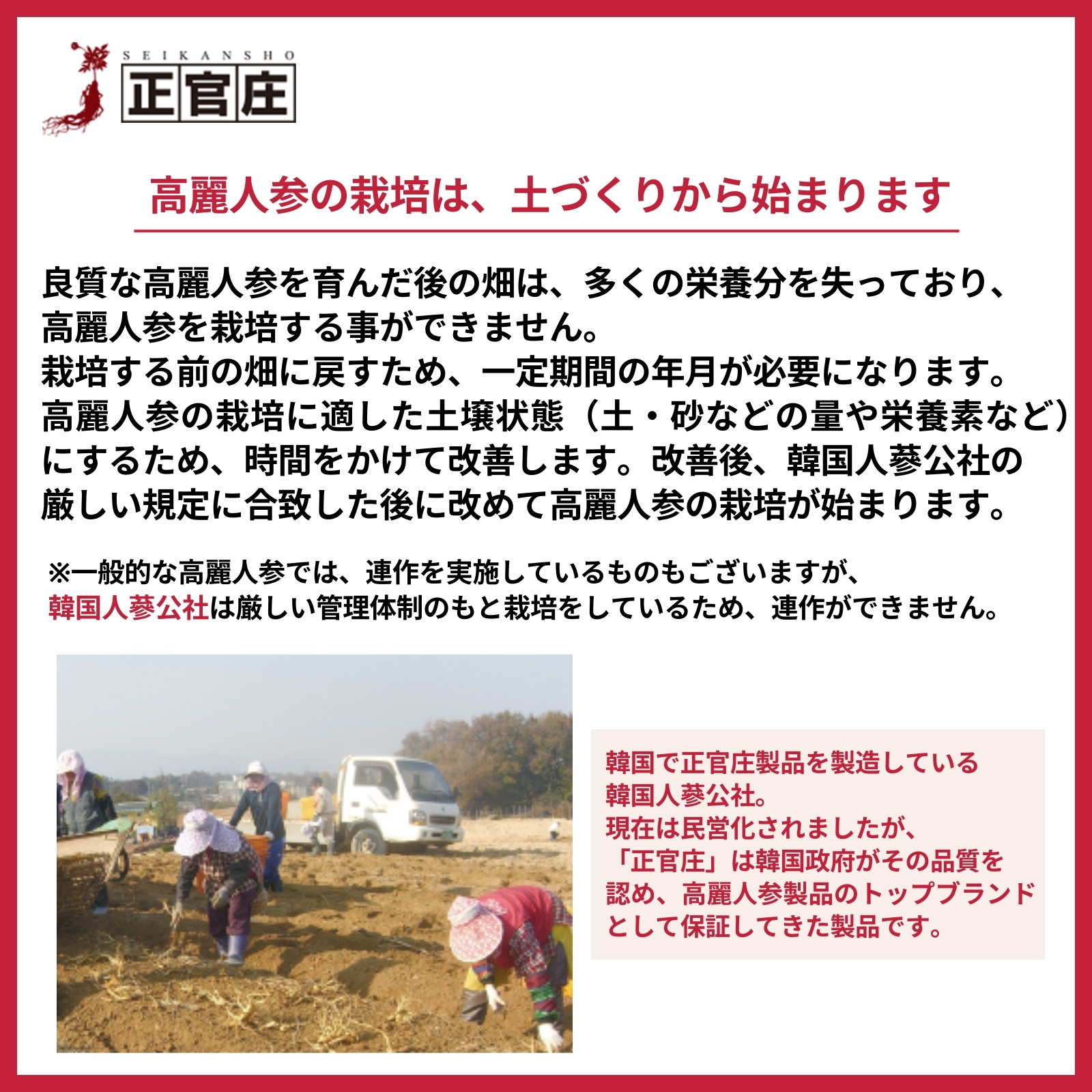 正官庄 ロイヤル