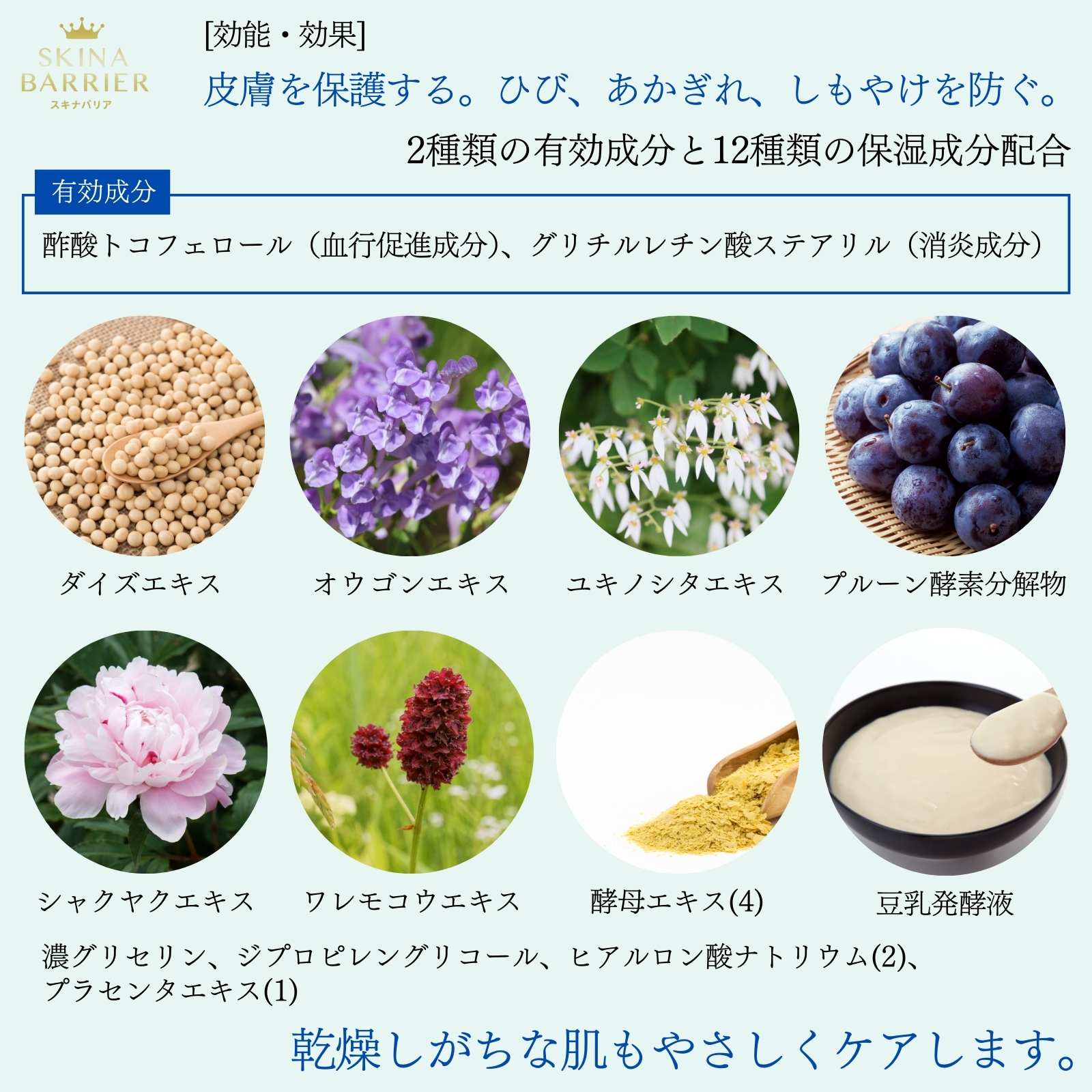 スキナバリア 35g