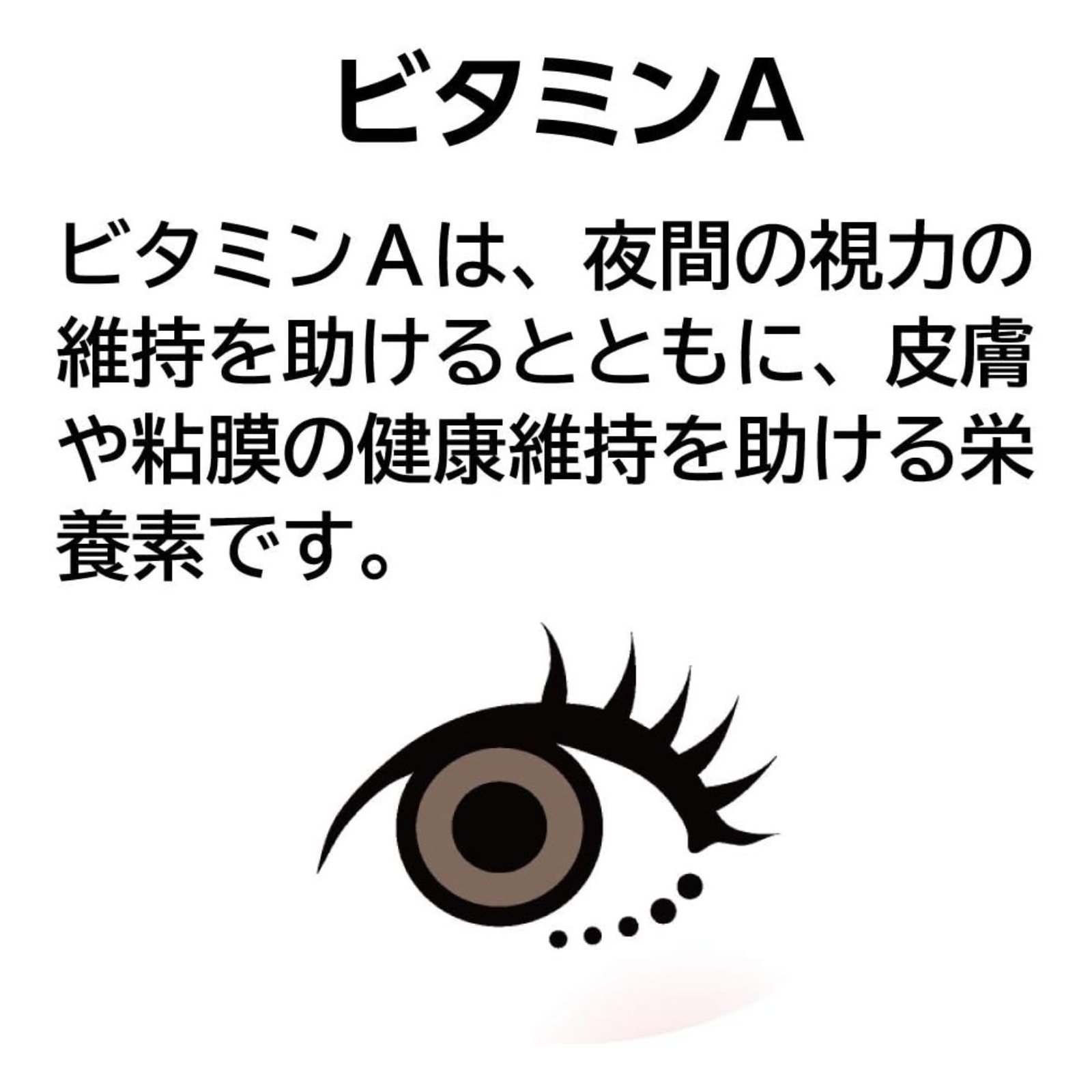 やつめホルゲンEXⅡ
